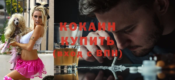 индика Богородицк