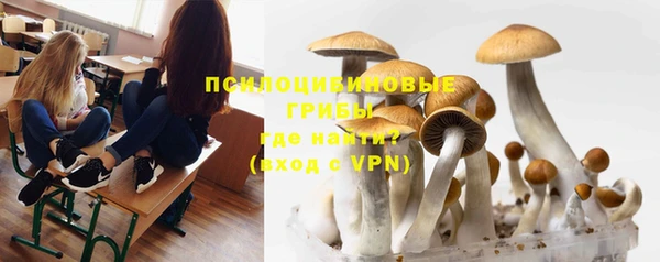 индика Богородицк
