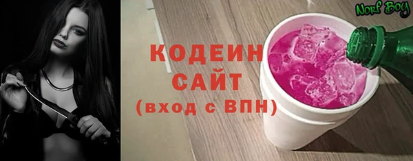 индика Богородицк