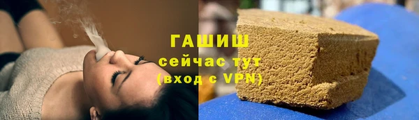 индика Богородицк