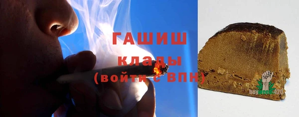 индика Богородицк