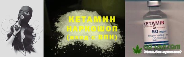 индика Богородицк