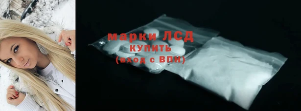 spice Богородск