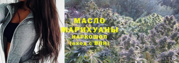 spice Богородск