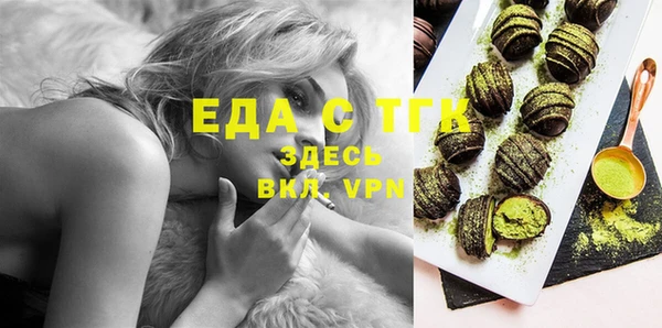 spice Богородск